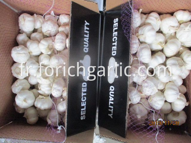 Best Quality 2019 Pure Garlic
